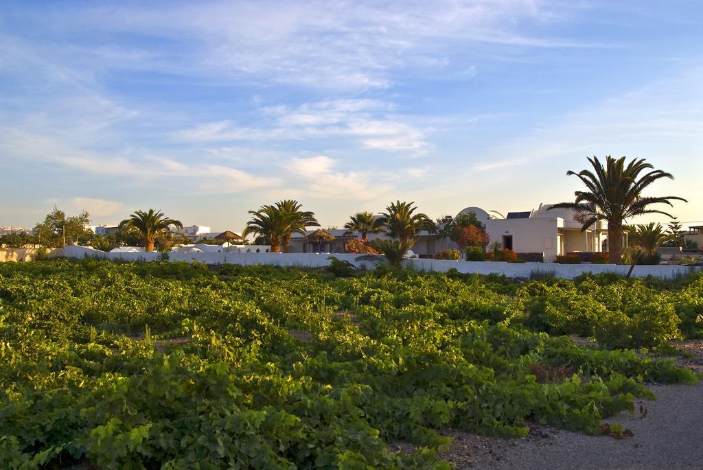 Kamári Alafouzos Studios & Apartments מראה חיצוני תמונה